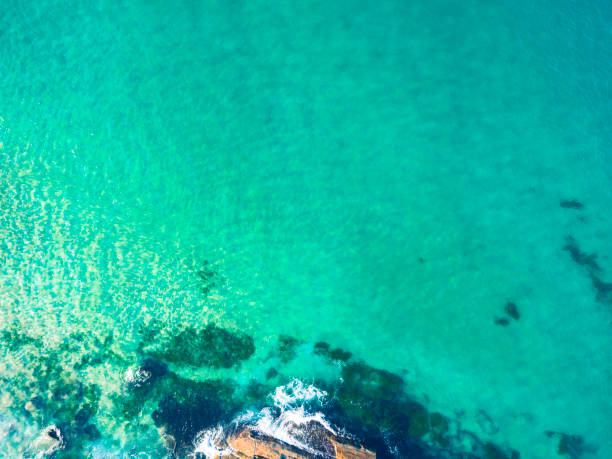 istock Top down aerial of Sydney beach 1204957154
