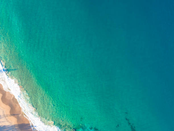 istock Top down aerial of Sydney beach 1204957155