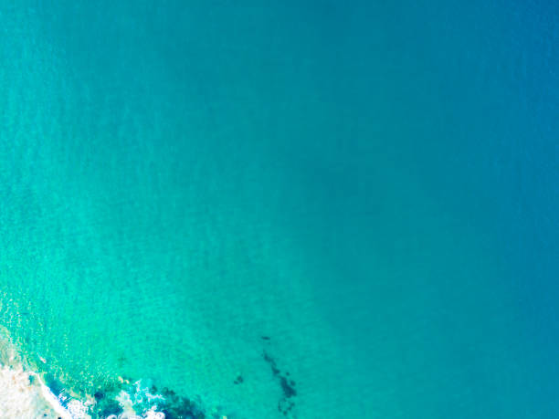 istock Top down aerial of Sydney beach 1204957156