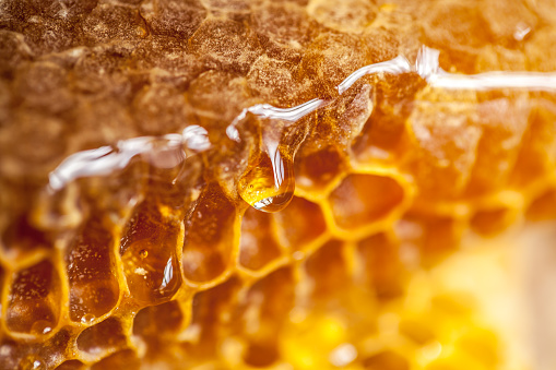 Honeycomb and honey drops closeup