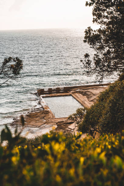 yamba ocean pool on a summer morning, yamba nsw. - yamba imagens e fotografias de stock