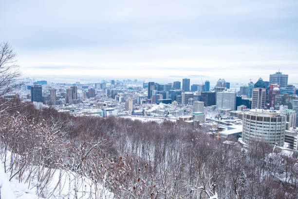 Montreal in winter from Mont Royal, Canada stock photo