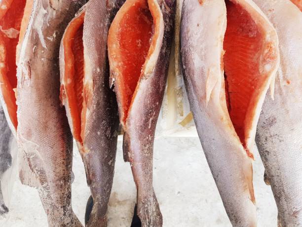 coral large gutted salmon on a counter in a fish store, a concept of wholesome nutrition and diet coral large gutted salmon on a counter in a fish store, a concept of wholesome nutrition and diet salmon and red snapper stock pictures, royalty-free photos & images