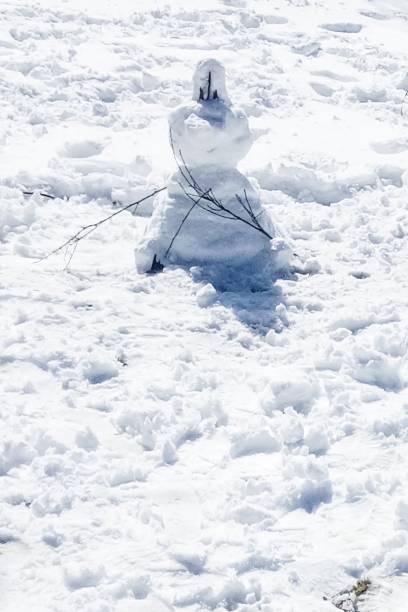 istock Snowman in the snow 1204964054