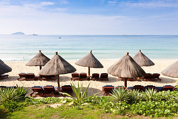 istock beach chairs and umbrellas by the sea 120496544