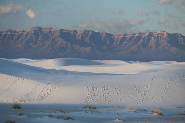 istock White Sands National Monument New Mexico USA 1204965833