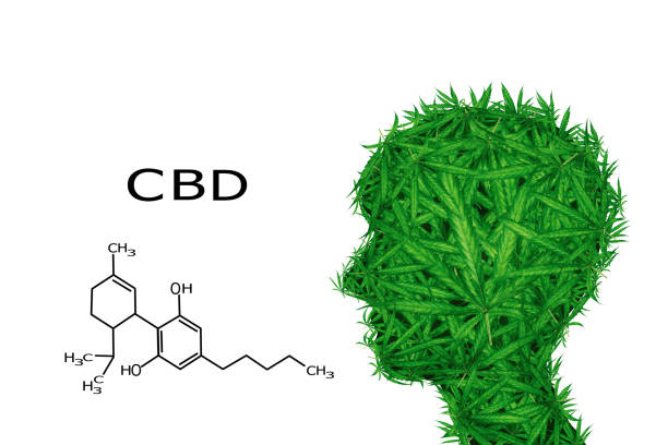 istock CBD Macro a cannabis flower and marijuana macro. isolated on White Background. 1204966683