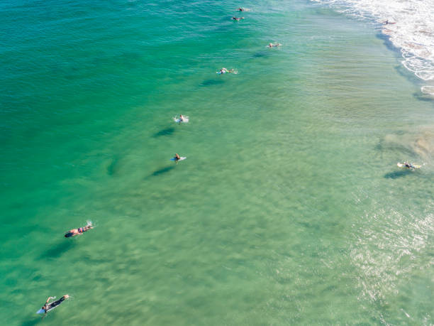 istock Surfers at the beach in Sydney, Australia 1204966784