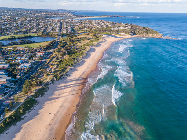 istock Surfers at the beach in Sydney, Australia 1204966797