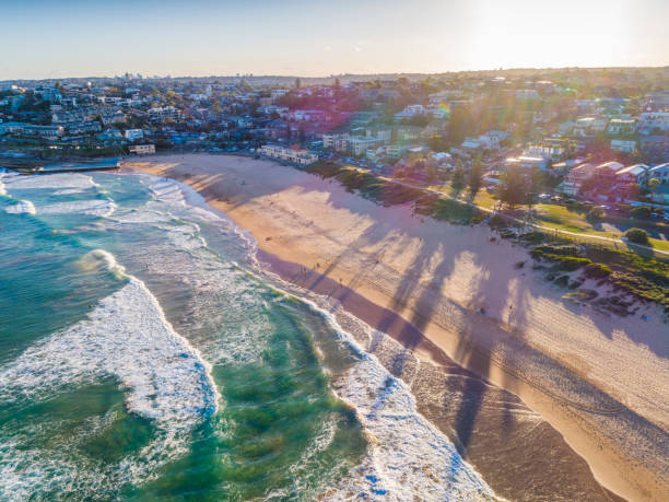 istock Surfers at the beach in Sydney, Australia 1204966805