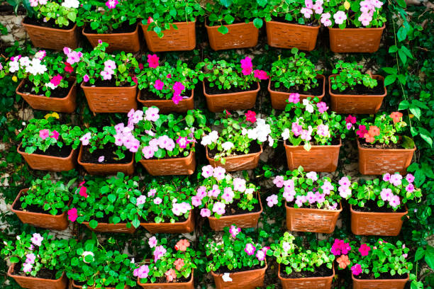 istock Beautiful flowers in the vertical garden 1204971400