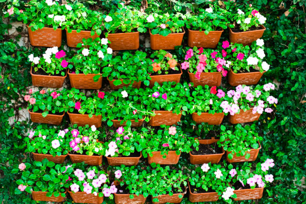 istock Beautiful flowers in the vertical garden 1204971703