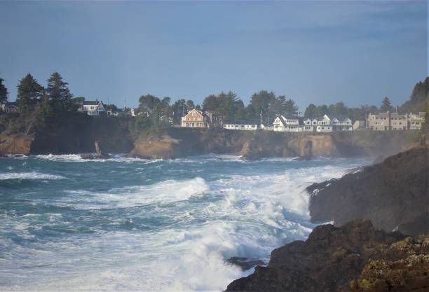 istock Pacific Ocean waves crashing on rocky beach 1204972290