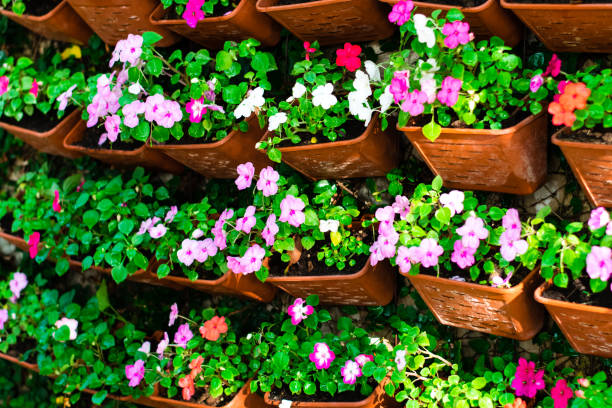 istock Beautiful flowers in the vertical garden 1204972827
