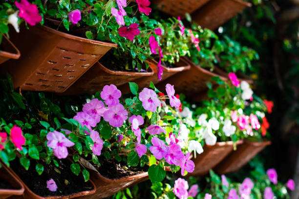 istock Beautiful flowers in the vertical garden 1204972960