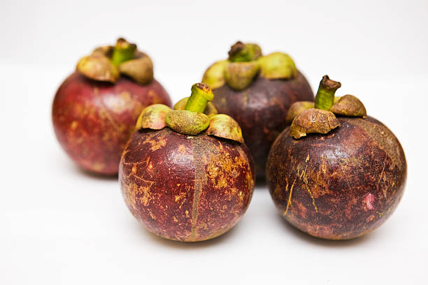 Mangosteen stock photo