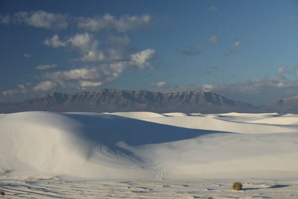 istock White Sands National Monument New Mexico USA 1204976813