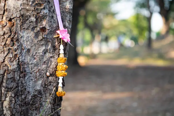 Photo of Asian garland hang on the tree.