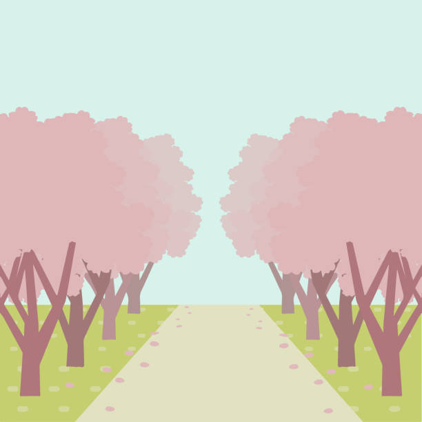 桜の木の列の風景を描いたベクトルイラスト - treelined点のイラスト素材／クリップアート素材／マンガ素材／アイコン素材