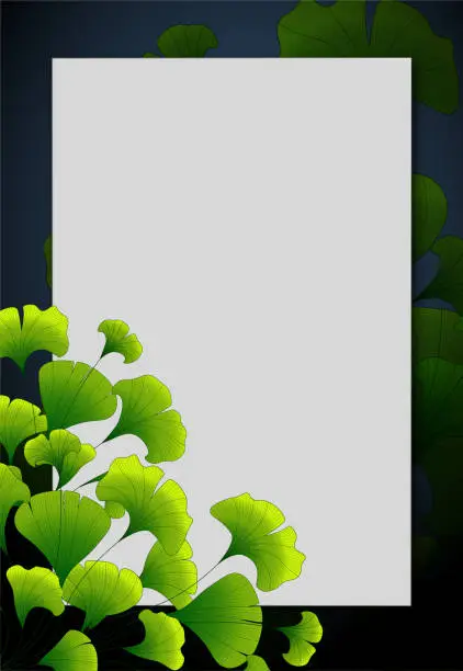 Vector illustration of Creative layout, green leaves with white frame