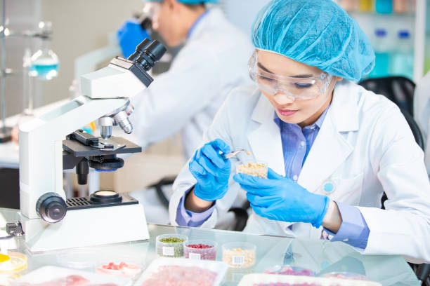 istock Food Safety Concept 1204985285