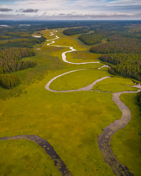 istock Susitna River in Alaska 1204987266