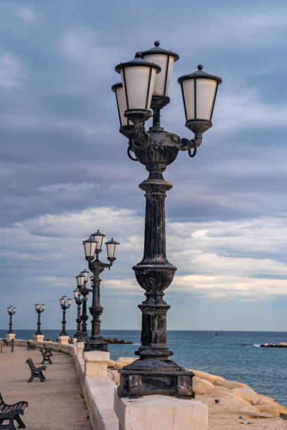 istock Bari seafront lights. Coastline and Twilight purple and blue sky. 1204989020