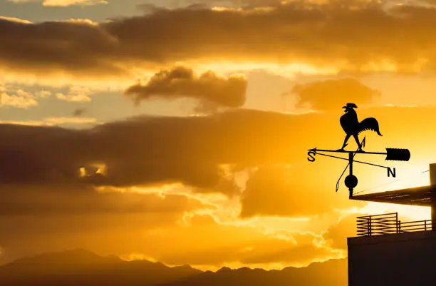 Weather vane is an old famous instrument widely used for estimating of wind direction. Concept of weather forecasting