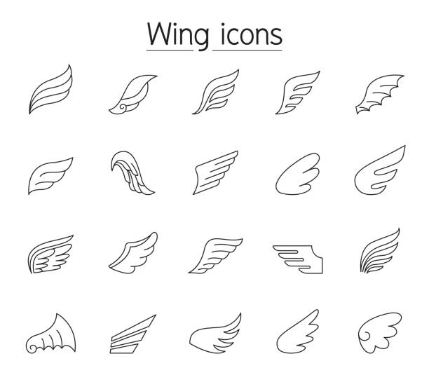 얇은 선 스타일로 설정된 날개 아이콘 - animal limb stock illustrations