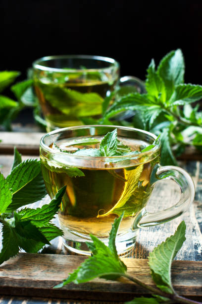 istock Close-up cup of mint tea with herbs 1204990741