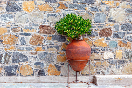 A large old terracotta amphora is used as a flower pot. Street decoration example