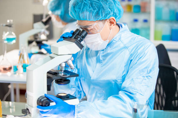 istock Food Safety Concept 1204996208