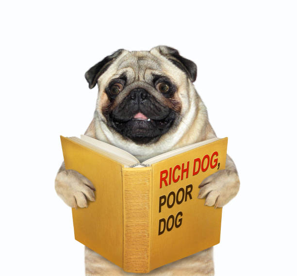 istock Dog wants to be rich 2 1204999641