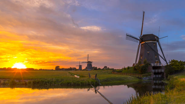 istock Row of historic wooden windmills 1205000922