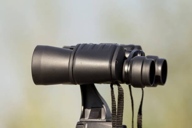 istock Bird watching with binoculars on tripod, spending time in nature birdwatching at the river with birding equipment 1205001123