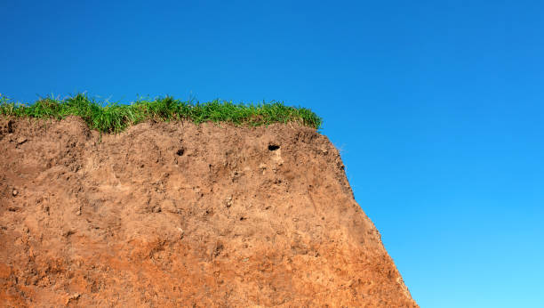 istock Topsoil of a Cambisol or Inceptisol 1205003523