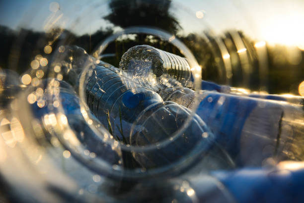 plastic bottles pollute nature and humanity from excessive use of plastic in production. selective focus with sunset in nature. - polyethylene terephthalate imagens e fotografias de stock