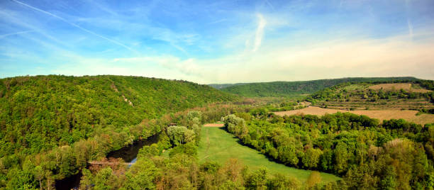 istock panorama with vineyard and hills spring photography 1205005727