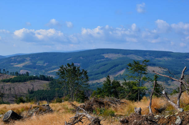 istock nature beauty landscape with hills in summer 1205006855
