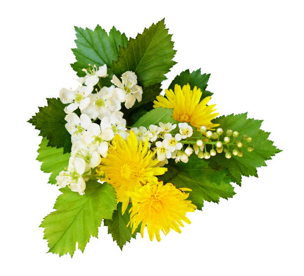istock Bouquet of wildspring flowers 1205009137