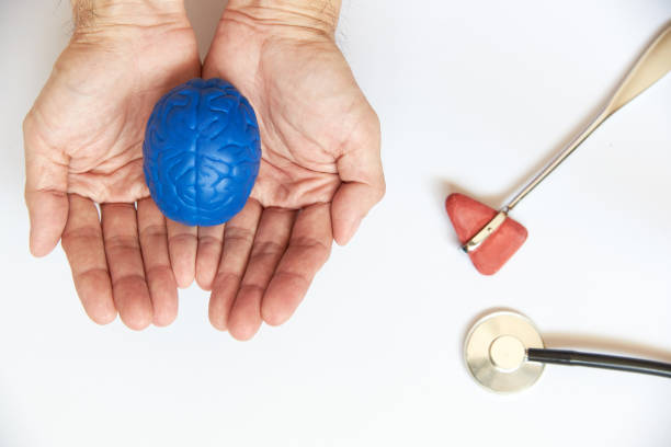 istock Concept of doctor taking care nervous system 1205011039