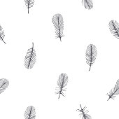 istock Vector pattern with feathers on a white background. 1205011434