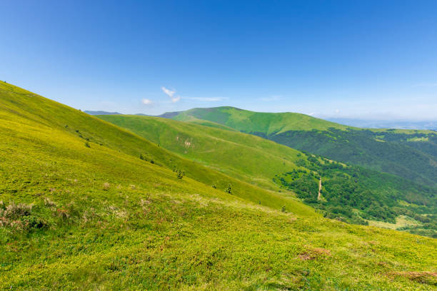 istock green rolling hills of mountain ridge borzhava 1205011533
