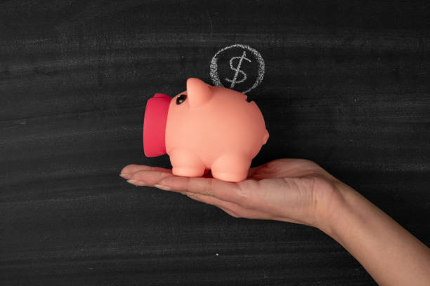 istock Human hand holding piggy bank 1205012686