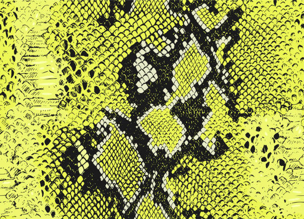 원활한 벡터 뱀 동물 피부 패턴입니다. 뱀 가죽 패턴. 검은 색과 노란색 야생 동물 배경입니다. 직물, 섬유, 포장, 덮개, 웹 등 - 비단뱀 stock illustrations