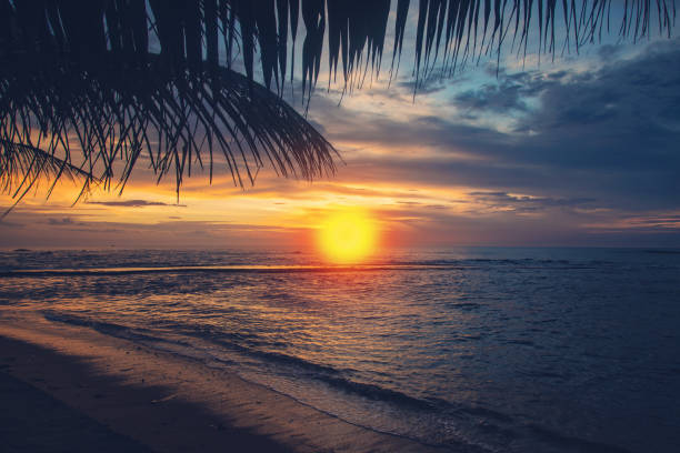 istock Sunset on the ocean. Sri Lanka. Selective focus. 1205013002