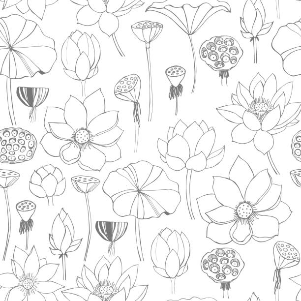 ilustrações de stock, clip art, desenhos animados e ícones de floral vector  seamless pattern with  lotus flowers - lotus water lily water flower