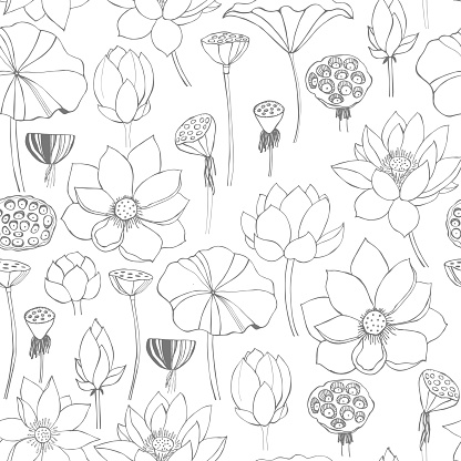 Floral vector  seamless pattern with hand drawn lotus flowers and leaves