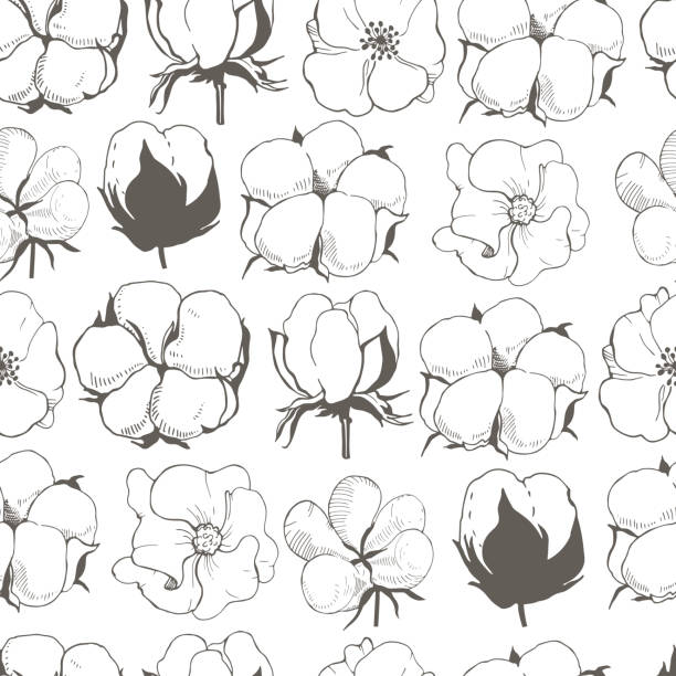 ilustrações, clipart, desenhos animados e ícones de padrão sem emenda vetorial com flor de planta de algodão. - 2603