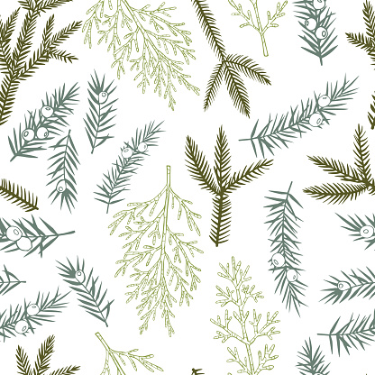 Vector  seamless pattern with hand drawn Christmas plants.